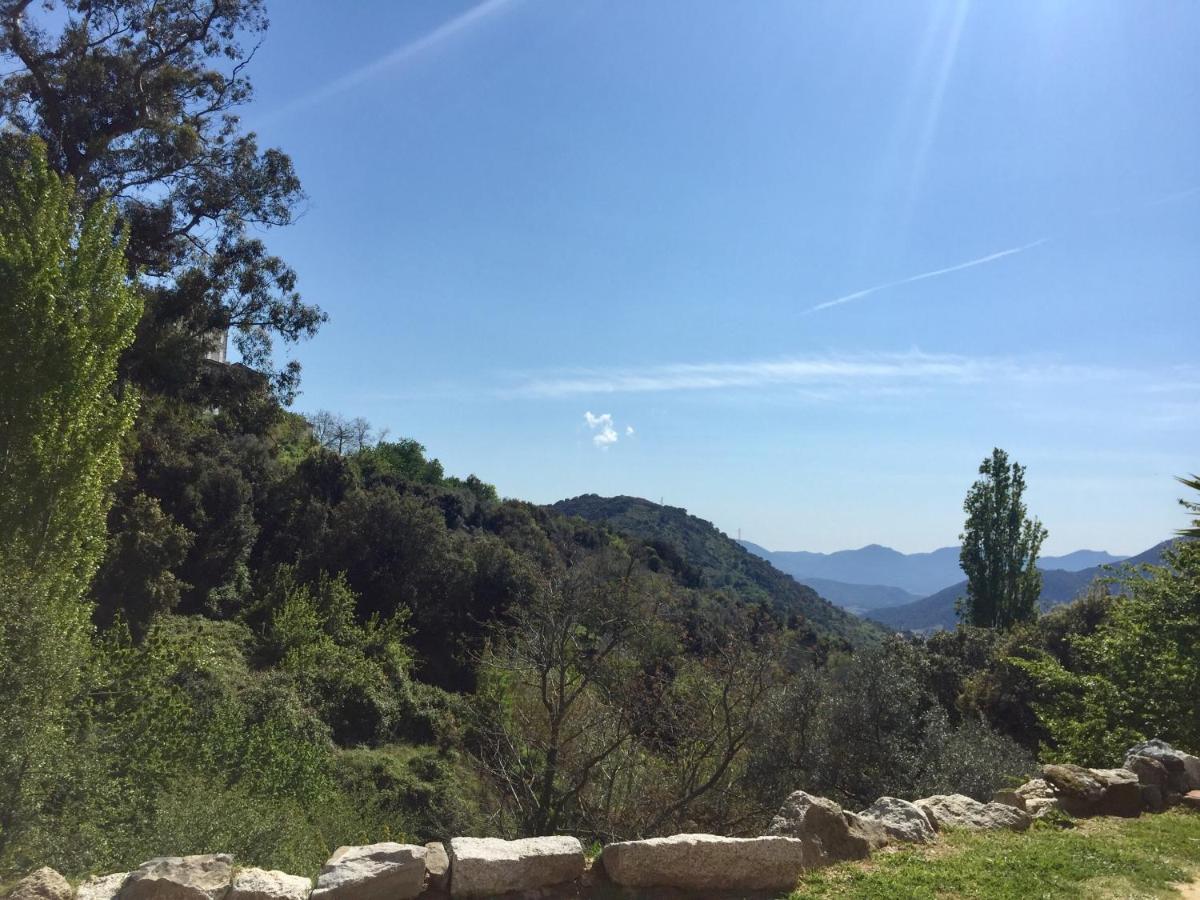 Casa Cristina Charmant Appartement Calme Entre Mer Et Montagne Santa-Lucia-di-Tallano エクステリア 写真