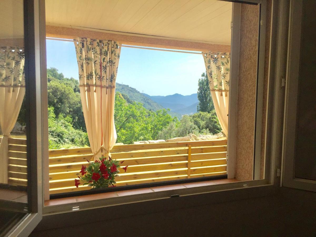 Casa Cristina Charmant Appartement Calme Entre Mer Et Montagne Santa-Lucia-di-Tallano エクステリア 写真